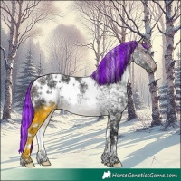 Horse Color:Painted White Spotted Silver Brown Chinchilla Ice Rabicano