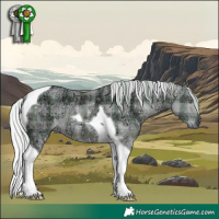 Horse Color:Plaid  Silver Black Chinchilla Ice Tobiano 