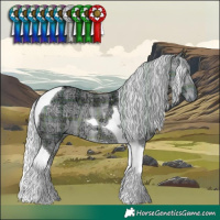 Horse Color:Plaid  Silver Black Chinchilla Ice Tobiano 