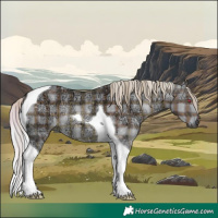 Horse Color:Plaid  Silver Black Chinchilla Ice Tobiano 