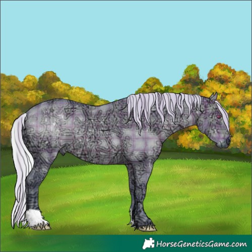 Horse Color:Watercolor Plaid  Silver Brown Chinchilla Ice Dun 