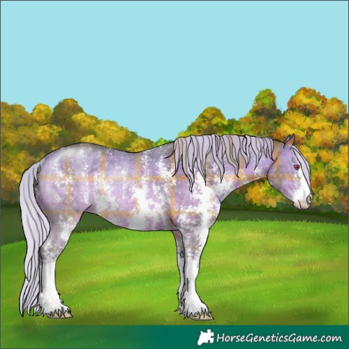 Horse Color:Plaid  Silver Brown Chinchilla Sabino Rabicano 