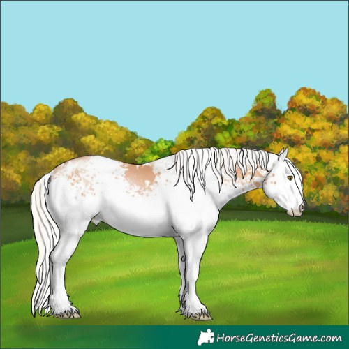 Horse Color:White Spotted Silver Brown Pearl 