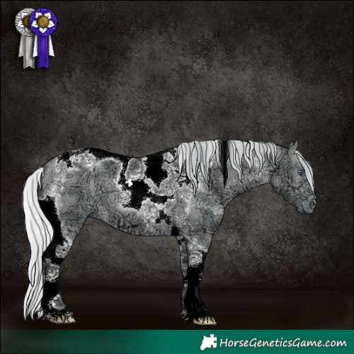 Horse Color:Plaid Silver Brown Chinchilla Ice Dun Tobiano