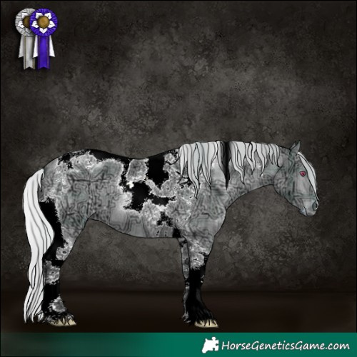 Horse Color:Plaid  Silver Brown Chinchilla Ice Dun Tobiano 