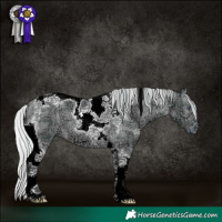 Horse Color:Plaid  Silver Brown Chinchilla Ice Dun Tobiano 
