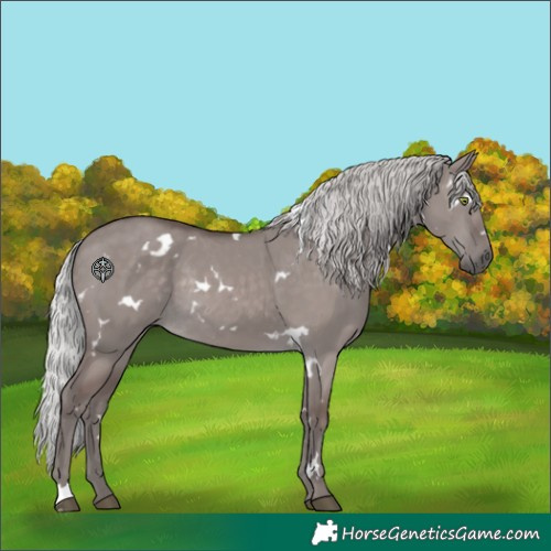 Horse Color:Platinum White Spotted Silver Grullo Rabicano 