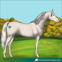 Horse Color:Silver Smoky Creme 