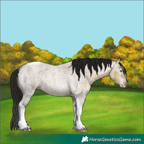 Horse Color:Gray Amber Champagne Ice Roan Tobiano 