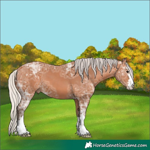 Horse Color:Silver Bay Ice 