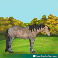 Horse Color:Bay Ice Sabino 