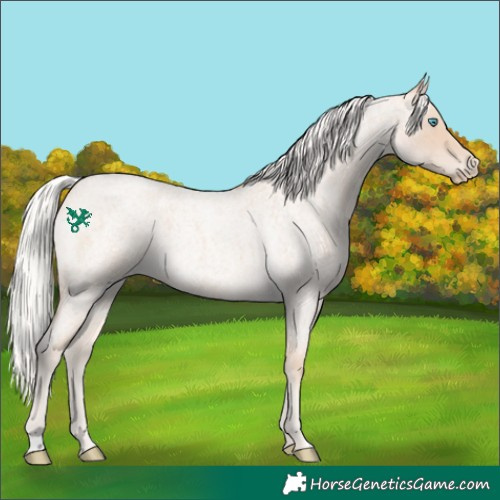 Horse Color:Silver Perlino Roan 