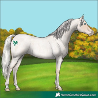 Horse Color:Silver Perlino Roan 