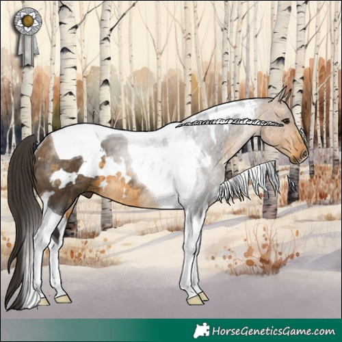 Horse Color:White Spotted Buckskin Tobiano Rabicano 