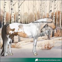Horse Color:White Spotted Buckskin Tobiano Rabicano 