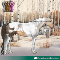 Horse Color:White Spotted Buckskin Tobiano Rabicano 