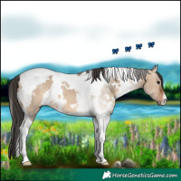 Horse Color:White Spotted Brown Dun Tobiano 