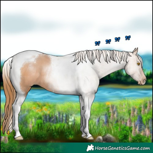 Horse Color:Bay Pearl Tobiano