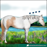 Horse Color:Bay Pearl Tobiano 