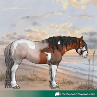 Horse Color:Bay Sabino Tobiano 