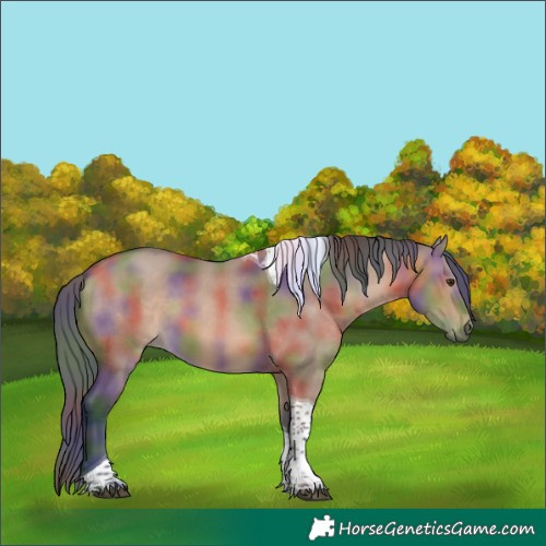 Horse Color:Nacre Bay Dun Tobiano 