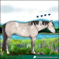 Horse Color:White Spotted Sable Champagne Dun Sabino 