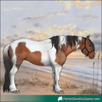 Horse Color:Bay Tobiano