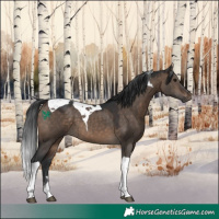Horse Color:Brown Dun Tobiano 