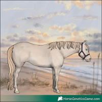 Horse Color:Smoky Creme 