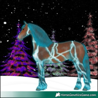 Horse Color:Thunderstruck Bay 