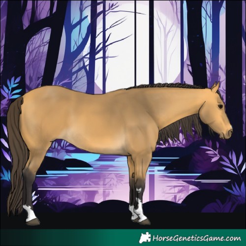 Horse Color:Buckskin 