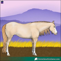 Horse Color:Smoky Black Pearl 