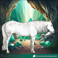 Horse Color:Silver Blue Roan Splash Frame  and Silver Blue Roan Splash Frame 
