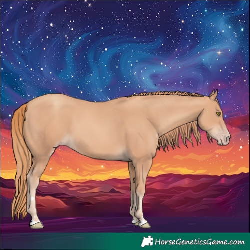 Horse Color:Gold Champagne 