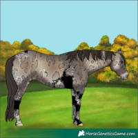 Horse Color:Liver Red Onyx Ice Tobiano