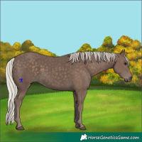 Horse Color:Silver Black 