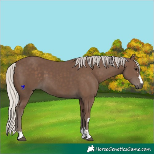 Horse Color:Silver Black