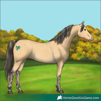 Horse Color:Palomino and Buckskin