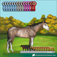Horse Color:Brown Dun Sabino Rabicano 