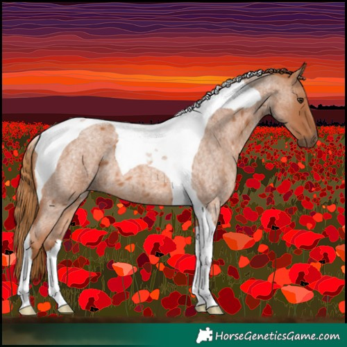 Horse Color:Red Roan Tobiano