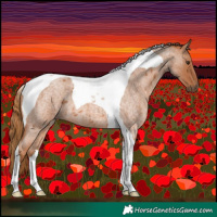 Horse Color:Red Roan Tobiano 