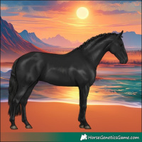 Horse Color:Gray White Spotted Black 