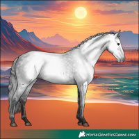 Horse Color:Gray White Spotted Black 