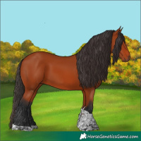 Horse Color:Bay Tobiano Rabicano