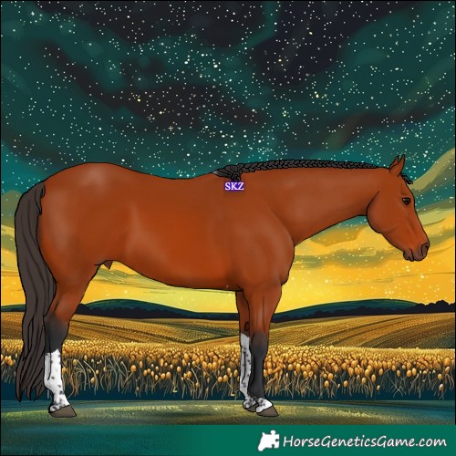 Horse Color:Bay Tobiano Rabicano 