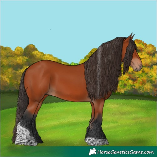 Horse Color:Bay Tobiano Rabicano 