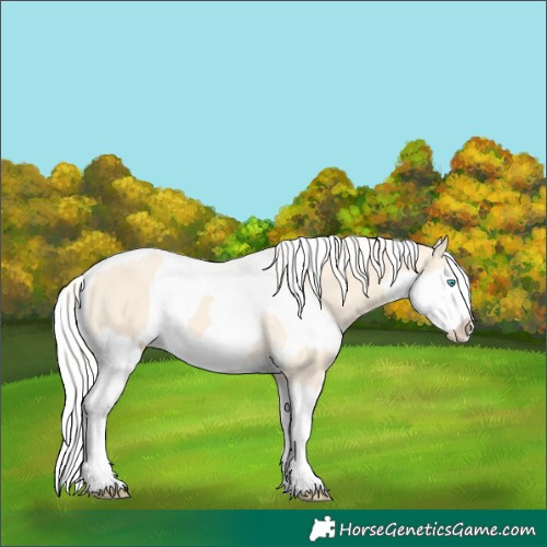 Horse Color:Cremello Splash  and Cremello Splash 