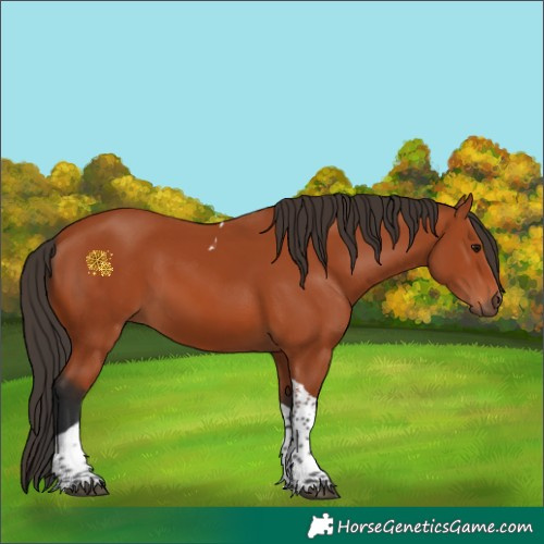 Horse Color:Bay Tobiano Rabicano 