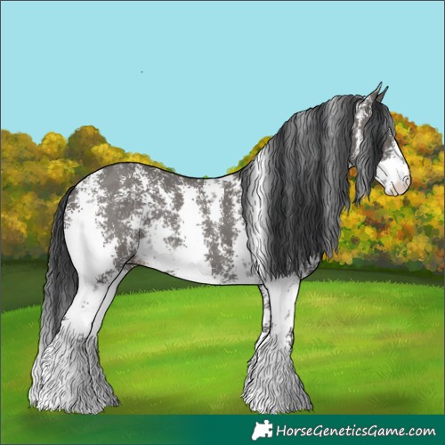 Horse Color:Grullo Sabino Rabicano 