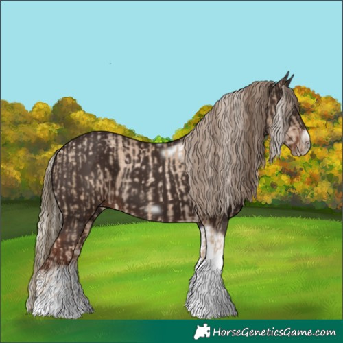 Horse Color:Chocolate Palomino Pearl Tobiano Frame  and Liver Chestnut Tobiano Frame 